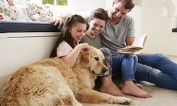 Best Tips to keep your Pet Safe and Healthy