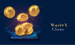 WazirX clone development: The biggest trading software for Web3-based currencies