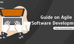 A Guide On Agile Software Development – Devstringx