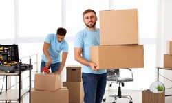 There Are A Number Of Moving Companies That Can Help You With Your Move