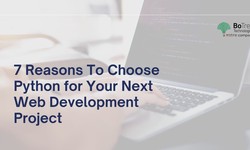 7 Reasons To Choose Python for Your Next Web Development Project