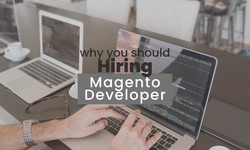 Why You Should Hire Magento Developer