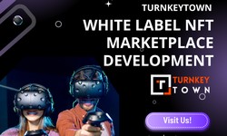 Get to Know the Top 10 Benefits of White Label NFT Marketplace Development