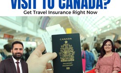 How To Get A Cheap Visitor Insurance?