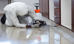 How To Select The Best Pest Control Company?