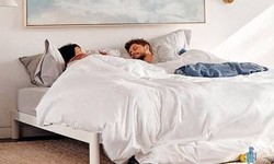 What Is the Best Bed Frame for Sex?