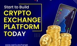 A Comprehensive Guide to Cryptocurrency Exchange for Beginners