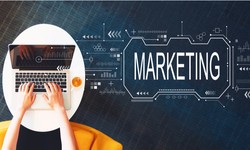 Why Offline Digital Marketing Courses Are in Huge Demand Nowadays?