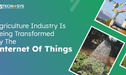 How Internet Of Things (IoT) Is Transforming Agriculture Industry?