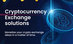 Memo on cryptocurrency exchange development services