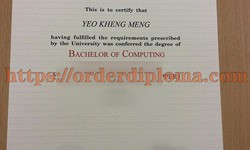 How to Get a Fake Degree in Computer Science from National University of Singapore