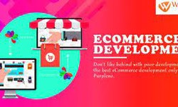 Select an Ecommerce Website Development Company in India