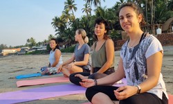 Wide range of quality yoga teacher training Goa
