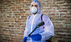 How to Control Pests and Disease in Your Home