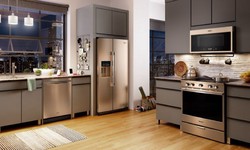 Best modular kitchen design options available in 2022