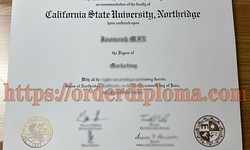 How much does it cost to buy a Cal State Northridge fake diploma
