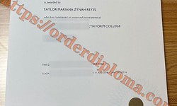 Where to Buy BTEC Fake Certificates