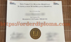 Where to Buy UCSF Medical School Fake Certificate