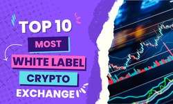 Top 10 white label crypto exchange clone scripts in 2022