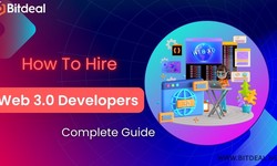 Complete Guide to Hire Web3 Developers
