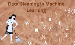 Data Cleaning in Machine learning(ML): Importance and Practices