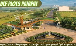 DLF Plots Panipat-Exquisite Residential Plots At A Prime Location