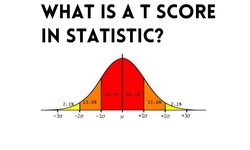 What Is A T Score In Statistics?
