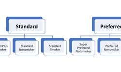 Standard vs Preferred Life Insurance Rates