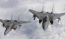 Grumman F-14 Tomcat – The Big Cat with 2 Terrible Engines