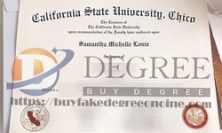 How much does it cost to buy a Cal State Chico fake diploma