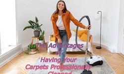The Advantages of Having Your Carpets Professionally Cleaned