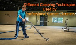 Different Cleaning Techniques Used by Professional Carpet Cleaners