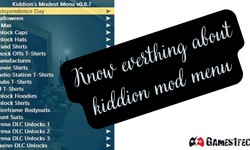 Everything that You Need to Know About Kiddions Mod Menu