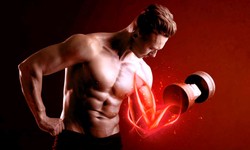 Learning how Red Light Therapy Affects Muscle Regeneration
