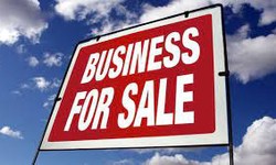 Do You Have Multiple Businesses to Sell?