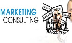 Independent Vs Freelance Marketing Consultant