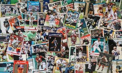 The Best Baseball Cards Online Stores For Your Needs