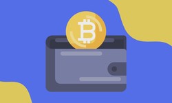 What Elements Should Be Considered When Selecting a Bitcoin Wallet?