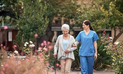 A Guide to Choosing the Right Care Home in Dublin for Your Aged Loved Ones