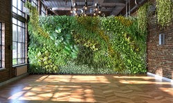 Exploring the World of Moss Walls in Toronto: Where to Find and How to Install them