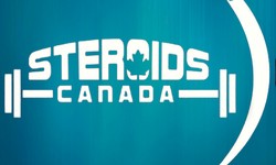 Steroidscanada.org: The Best Place To Get Steroids In Canada