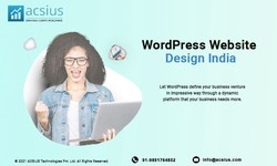 Our Professional WordPress Development Services for Outsourcing Digital Businesses