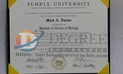 Where to Buy TU Fake Certificates