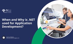 When and Why is .NET used for Application Development?