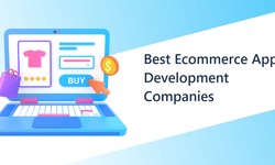 Top 8 Ecommerce App Development Companies In The US 2023