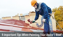 9 Important Tips When Painting Your House's Roof