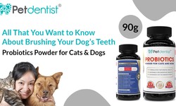 All That You Want to Know About Brushing Your Dog’s Teeth