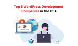 Top 5 WordPress Development Companies in the USA