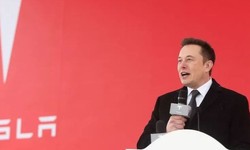 Tesla Investors Urge Elon Musk to Quit Twitter CEO, Why?