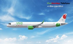 How to contact VivaAerobus from Mexico?